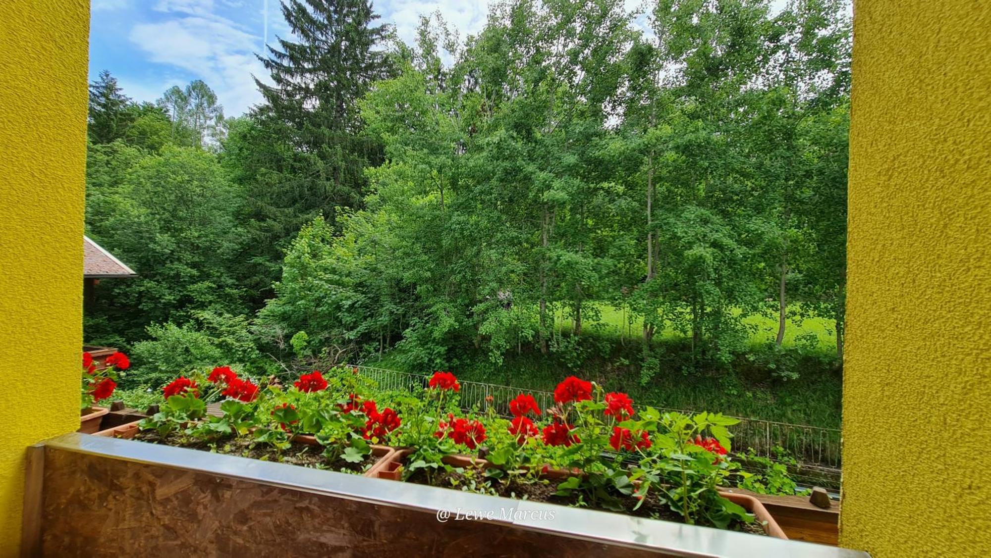 Appart-Pension Seehang Фельден-ам-Вёртер-Зе Экстерьер фото